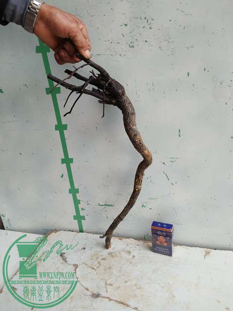 �½��ļ��� (3)IMG20161230123103.jpg