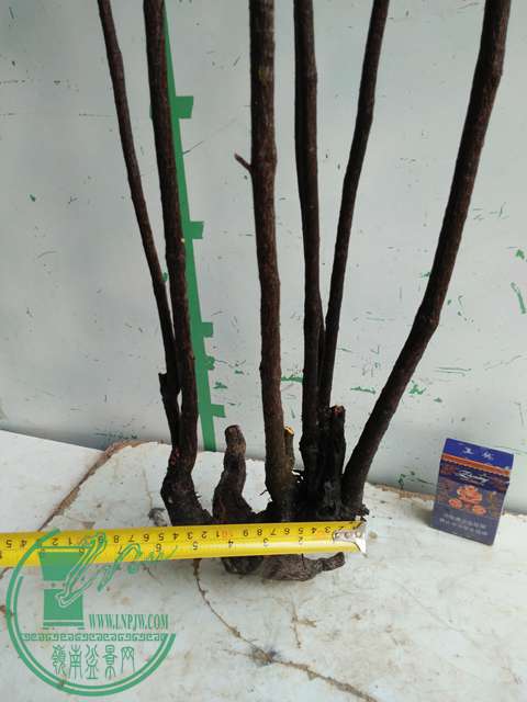 �½��ļ��� (3)IMG20161230123152.jpg