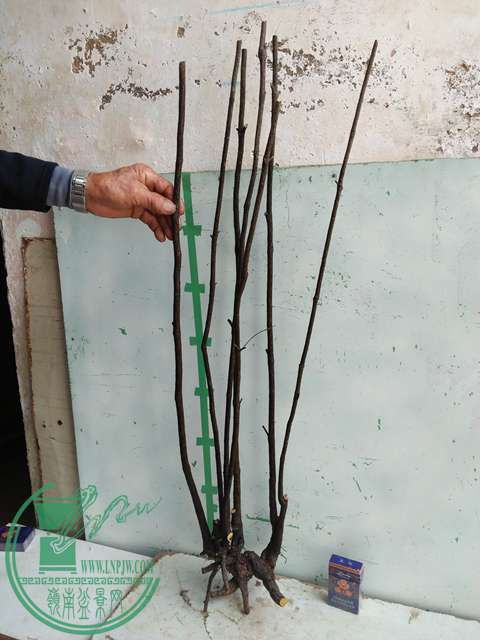 �½��ļ��� (3)IMG20161230123159.jpg