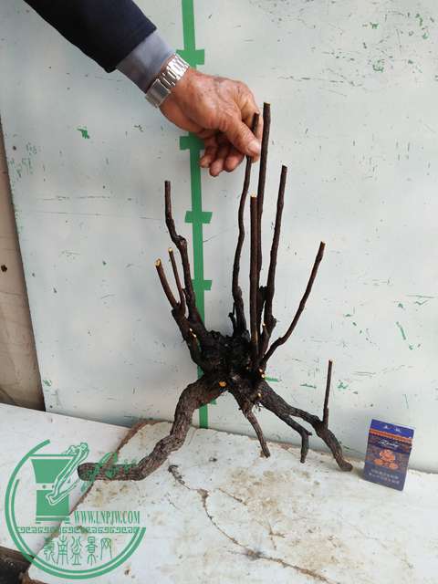 �½��ļ��� (3)IMG20161230123342.jpg