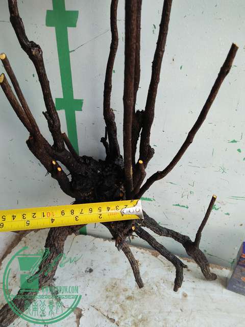 �½��ļ��� (3)IMG20161230123350.jpg