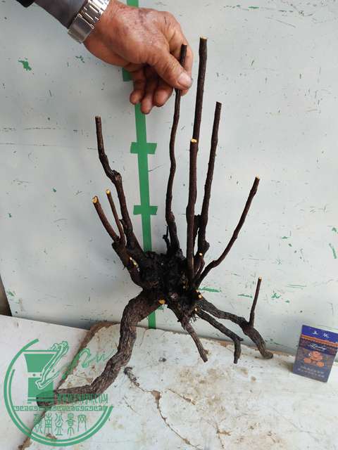 �½��ļ��� (3)IMG20161230123354.jpg