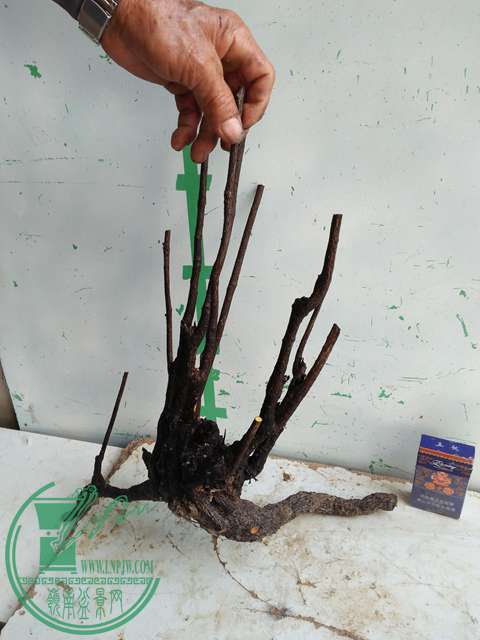 �½��ļ��� (3)IMG20161230123401.jpg