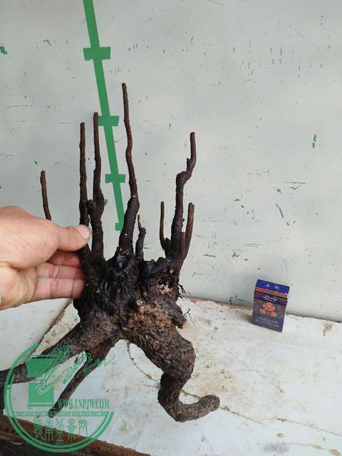 �½��ļ��� (3)IMG20161230123409.jpg