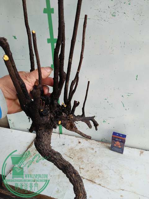 �½��ļ��� (3)IMG20161230123418.jpg