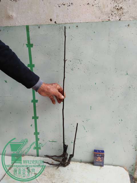 �½��ļ��� (3)IMG20161230122224.jpg