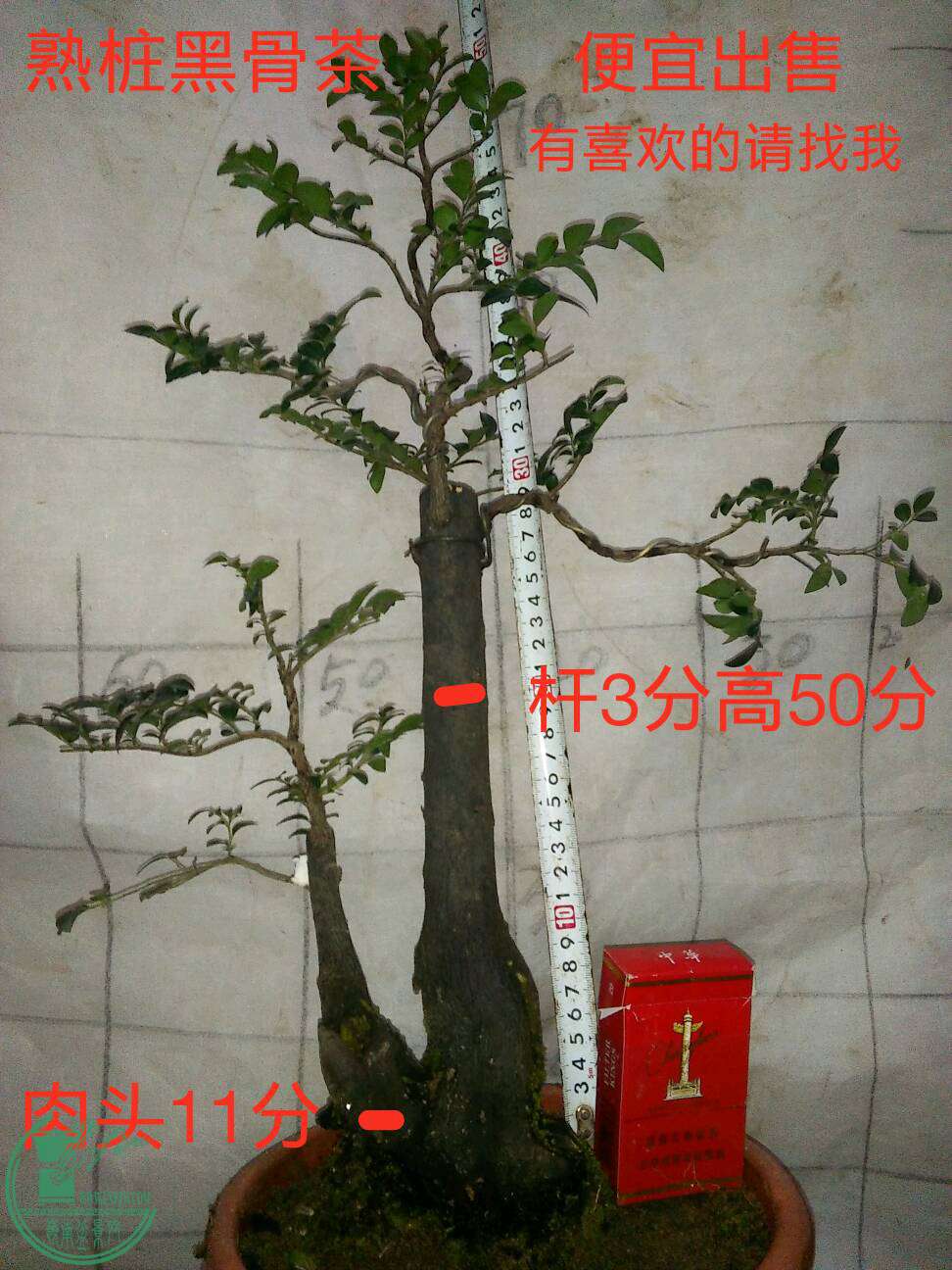 3���1��180Ԫ