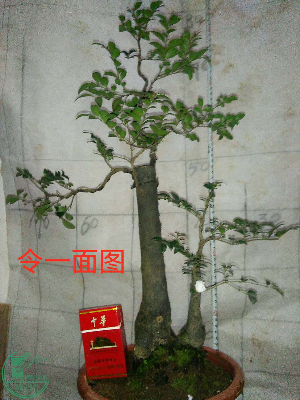 3���1��180Ԫ