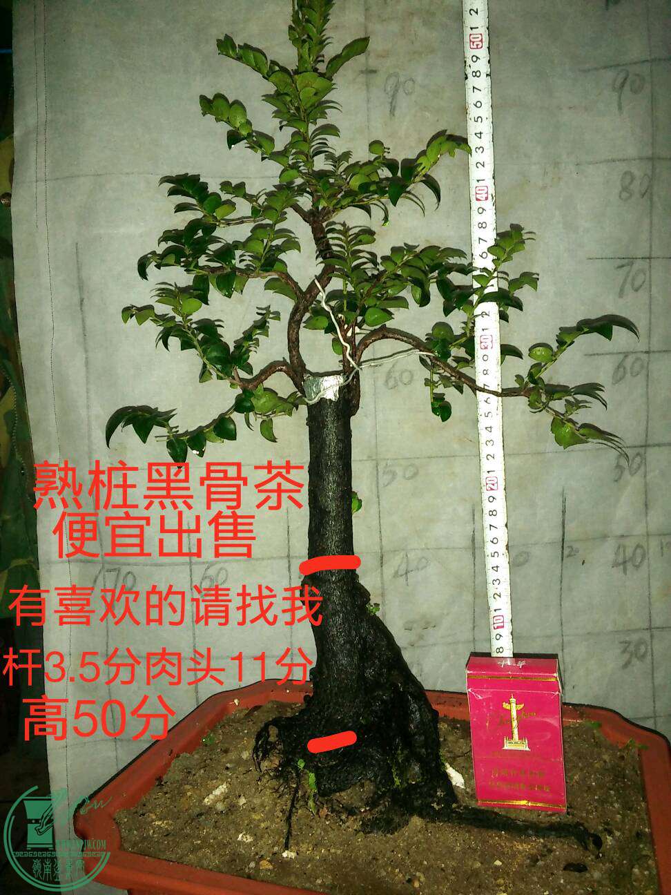 3���2��180Ԫ