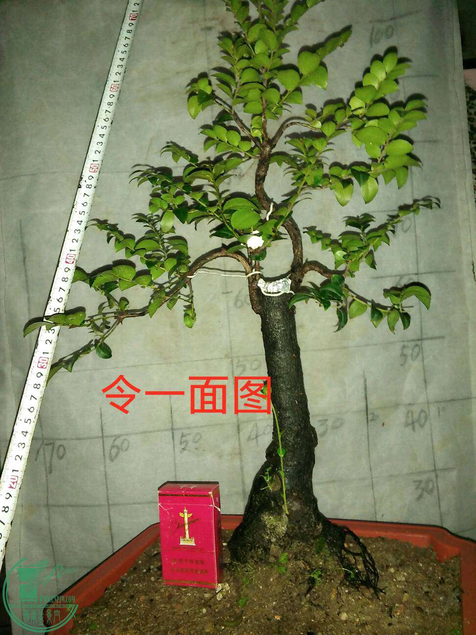 3���2��180Ԫ