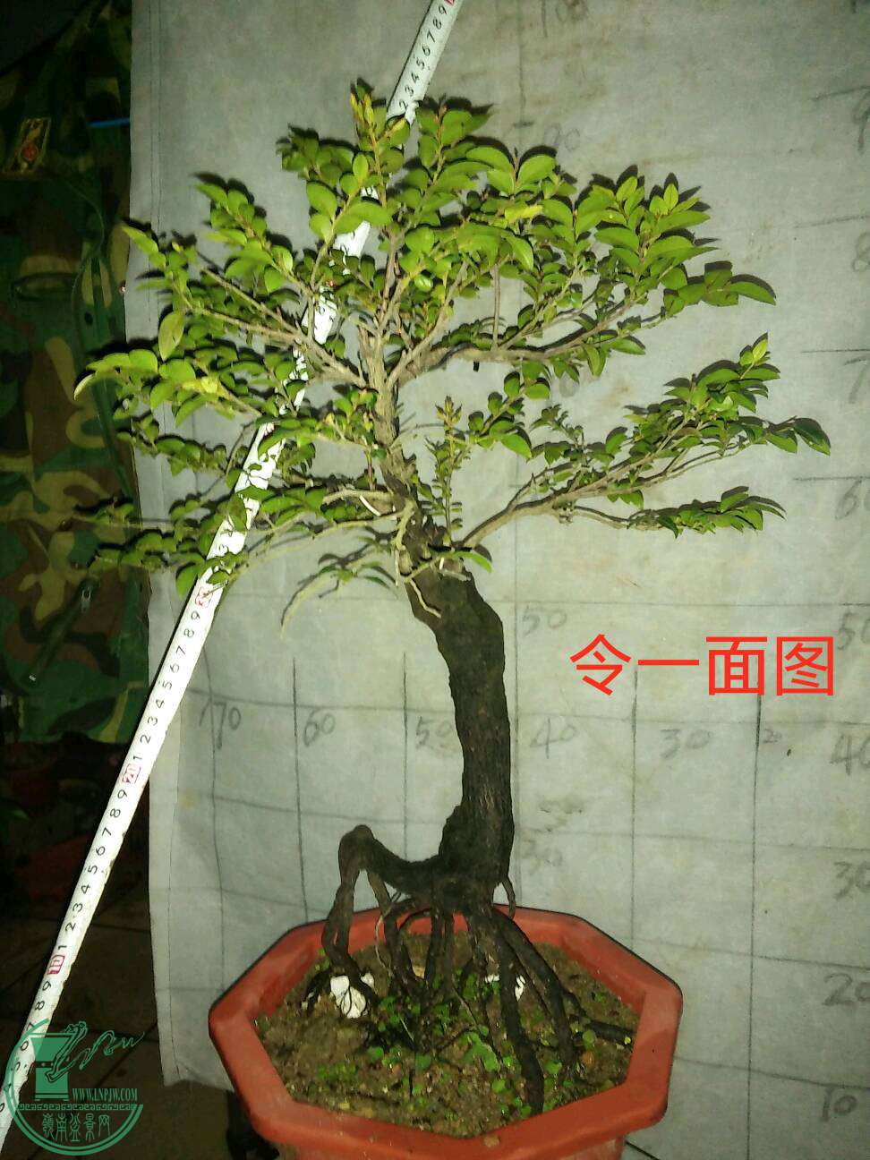 5���3��150Ԫ