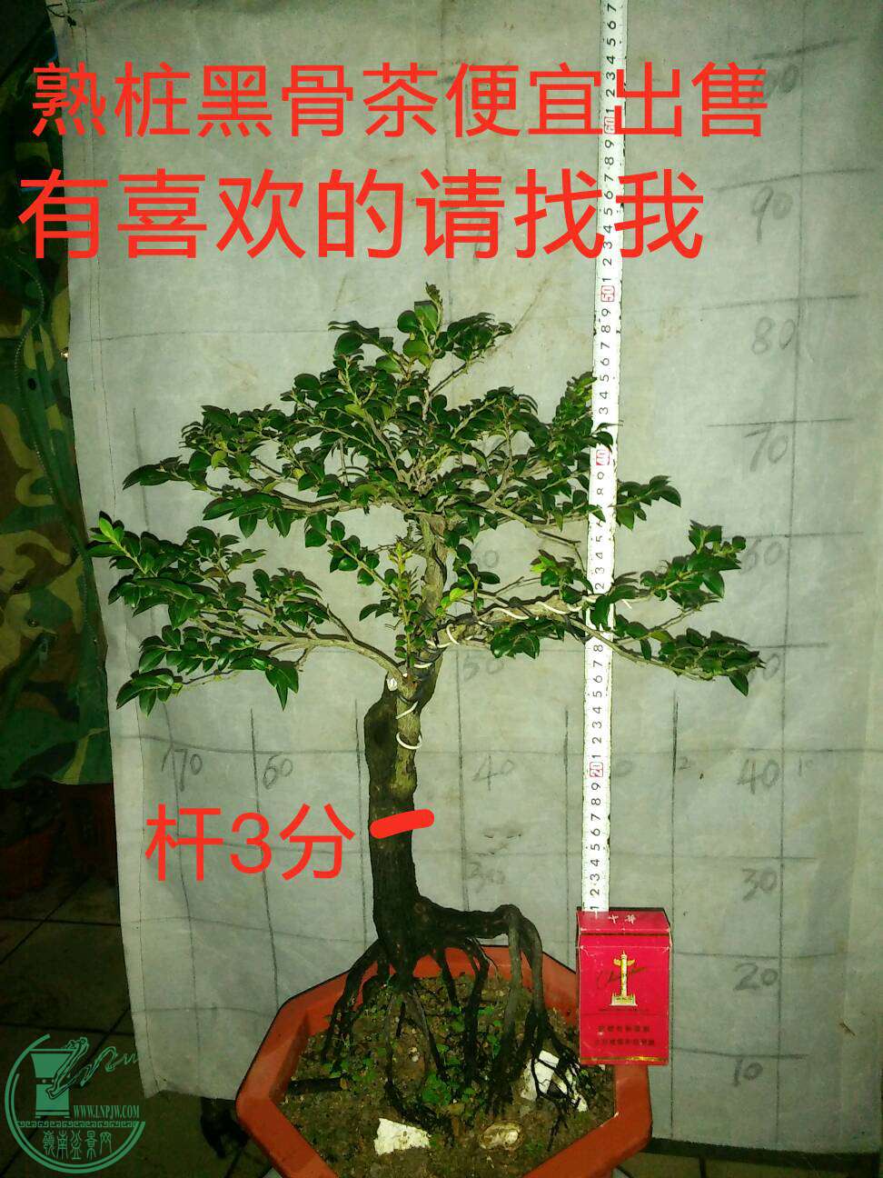 5���3��150Ԫ