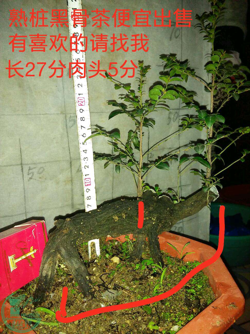 2���4��140Ԫ