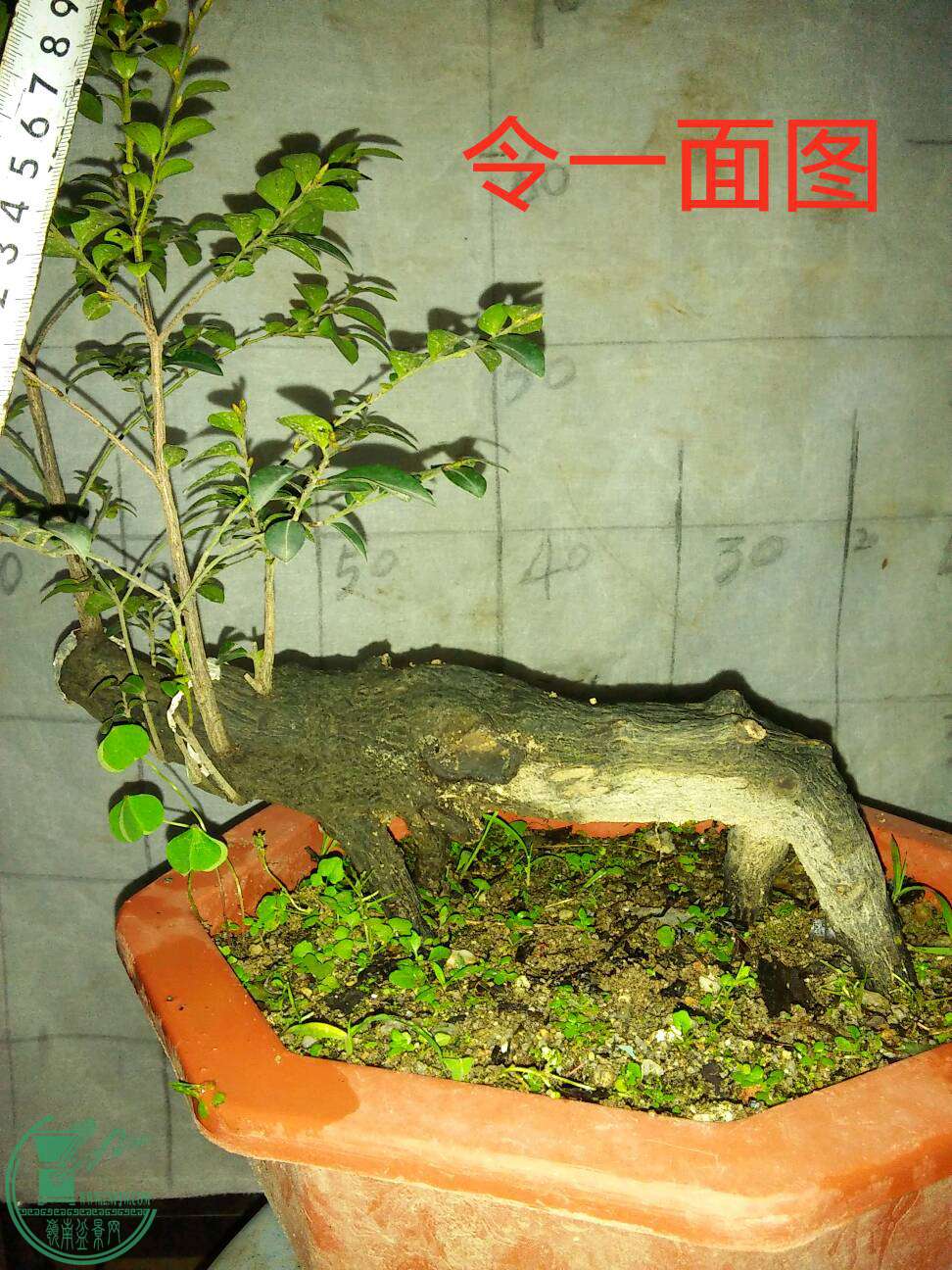 2���4��140Ԫ