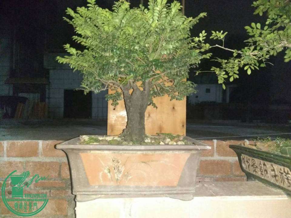210910tu4yi7li4xleulgo.jpg.thumb.jpg