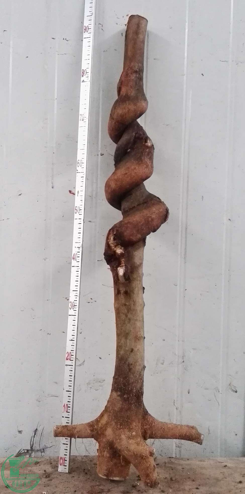 2������350