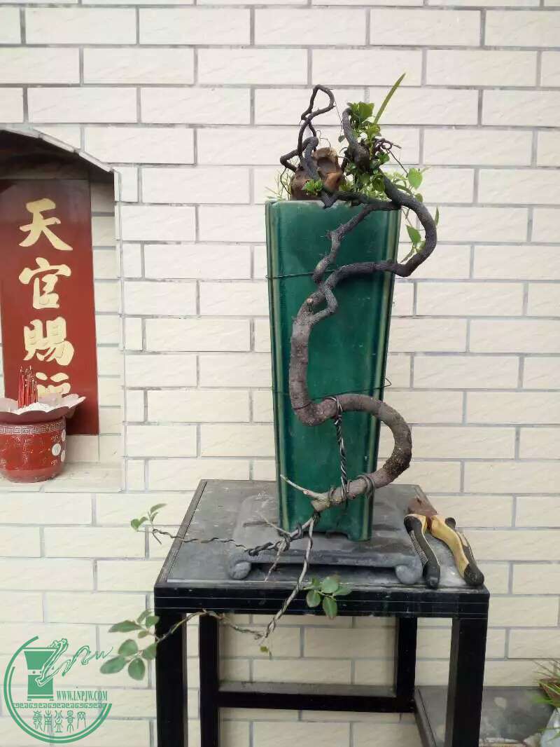 600�������