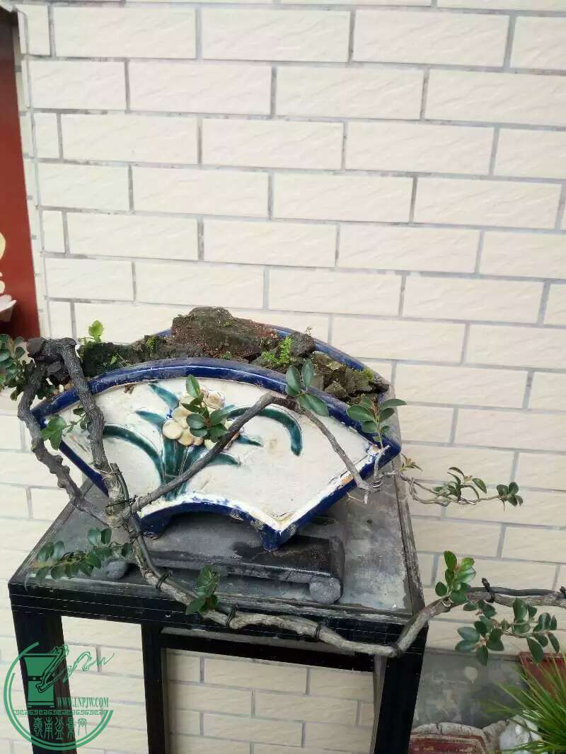 480�������