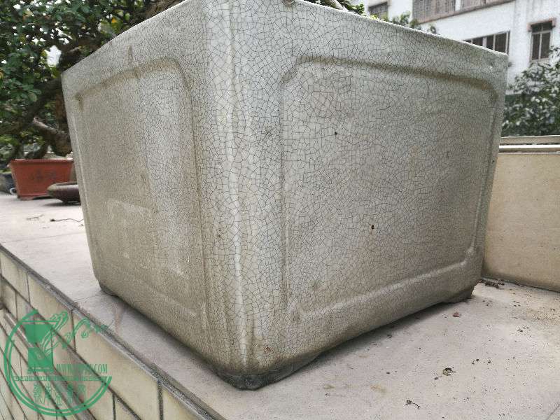 850910