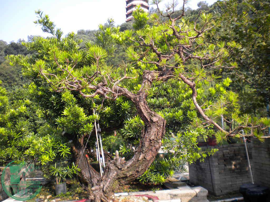DSCN8548.JPG