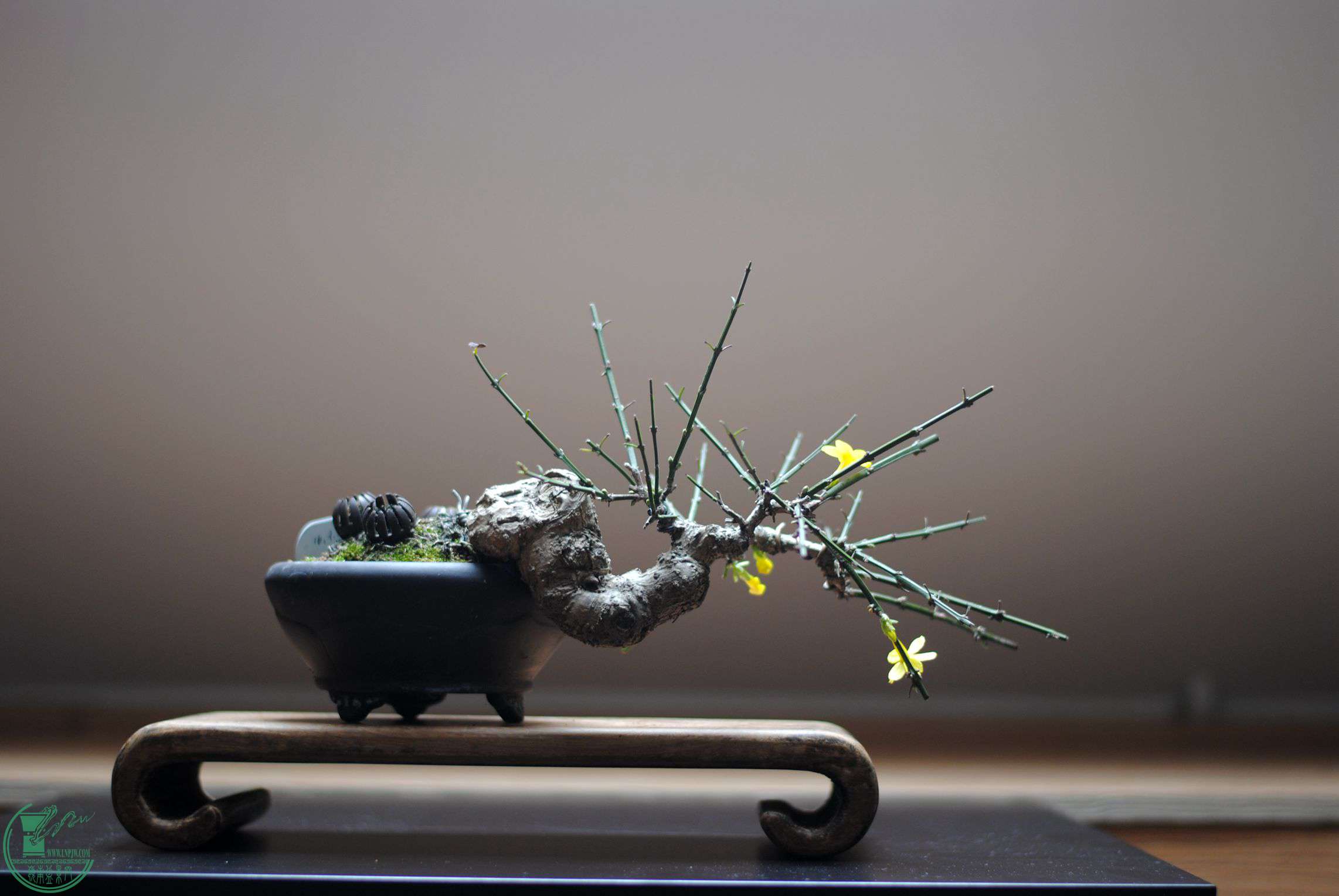 DSC_1405.JPG