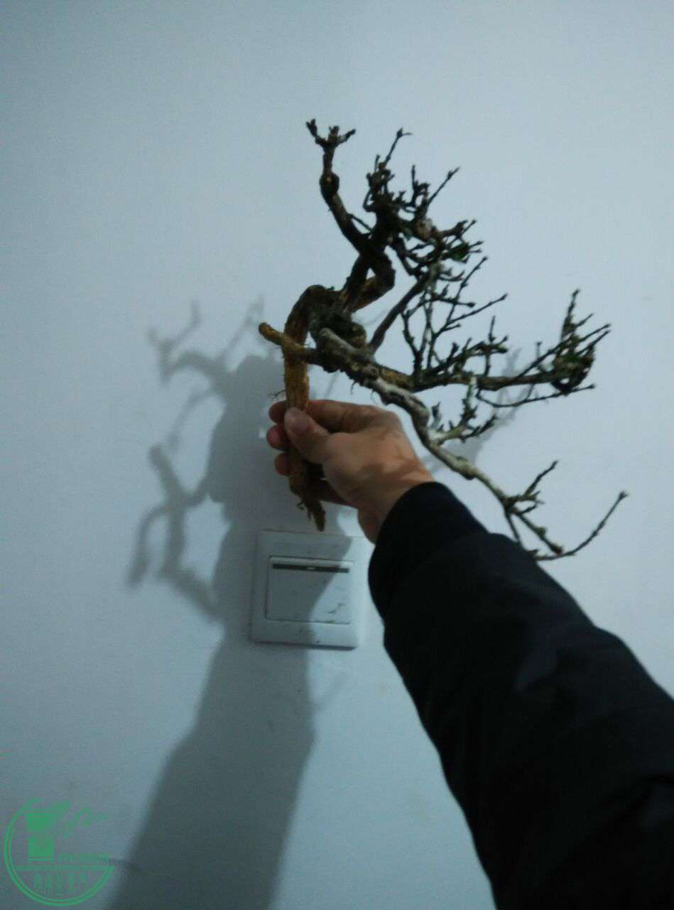 QQͼƬ20170111185352.jpg