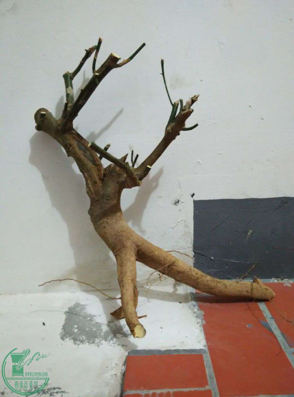 QQͼƬ20170111185410.jpg