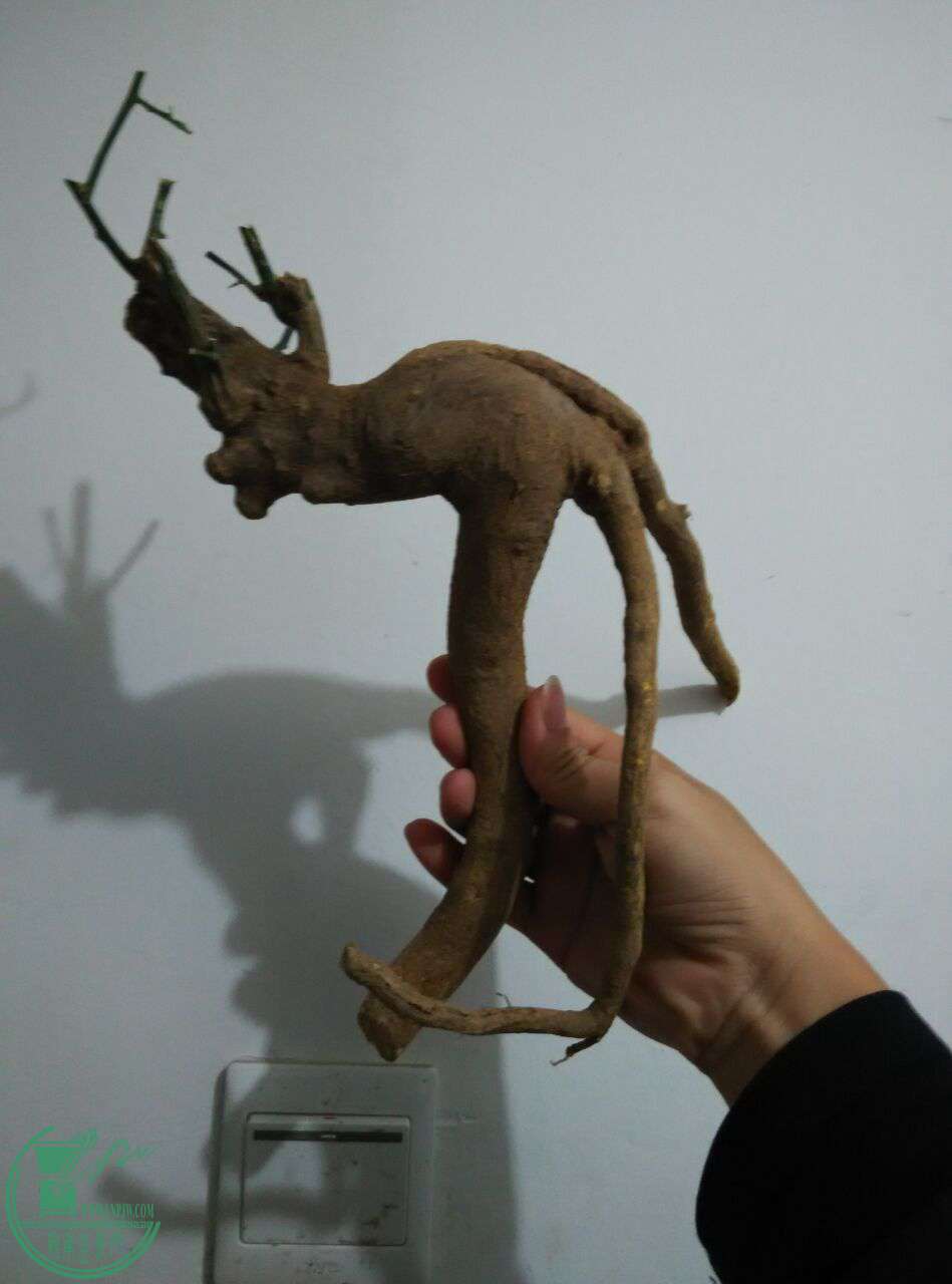 QQͼƬ20170111185413.jpg