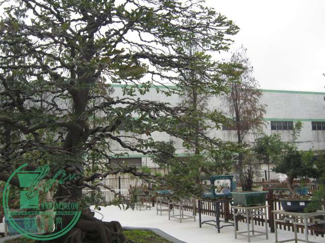 IMG_1585.JPG