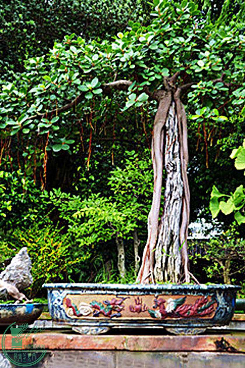 DSC_0040A.jpg