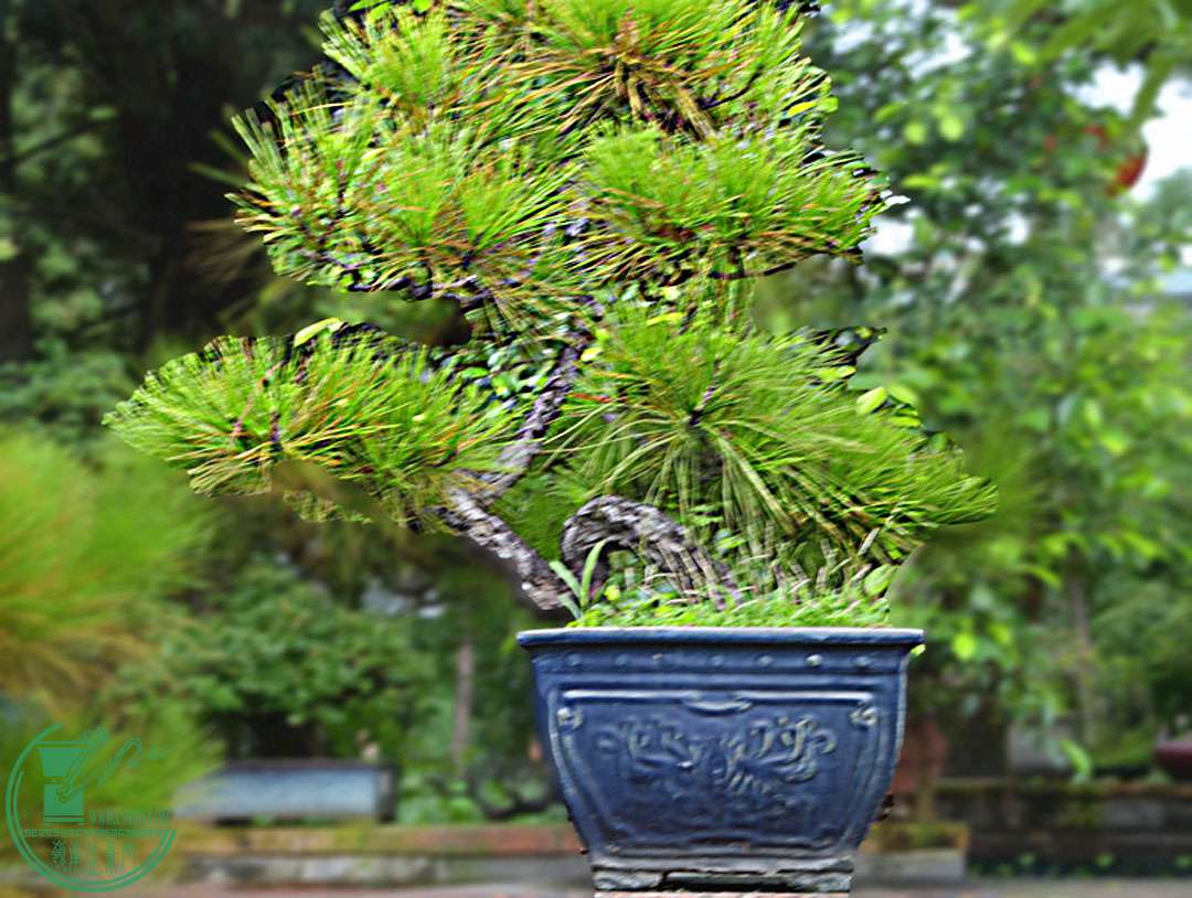 DSC_0057.jpg
