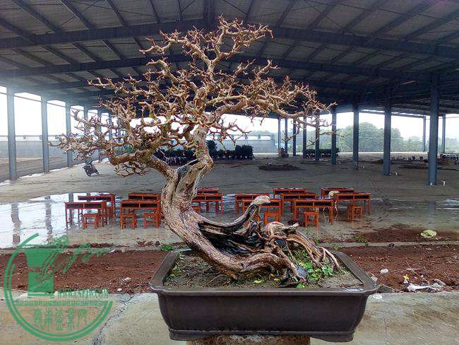 Ƭ 089.jpg