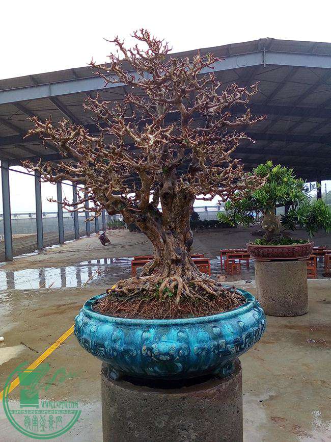 Ƭ 091.jpg