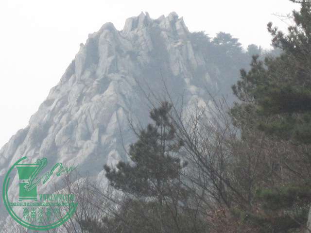 IMG_4913.JPG