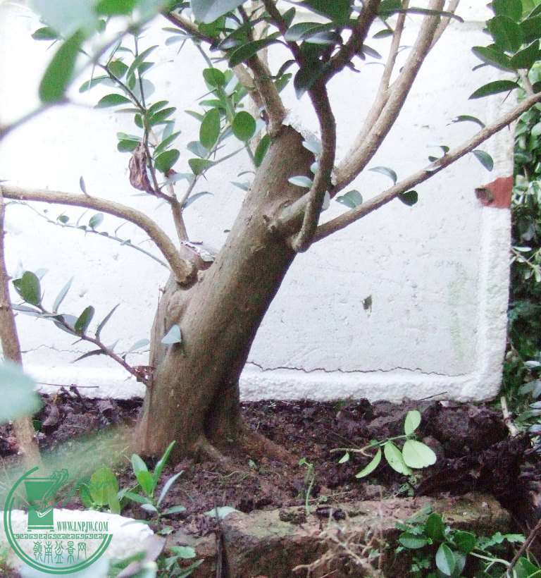 DSCF5560.JPG