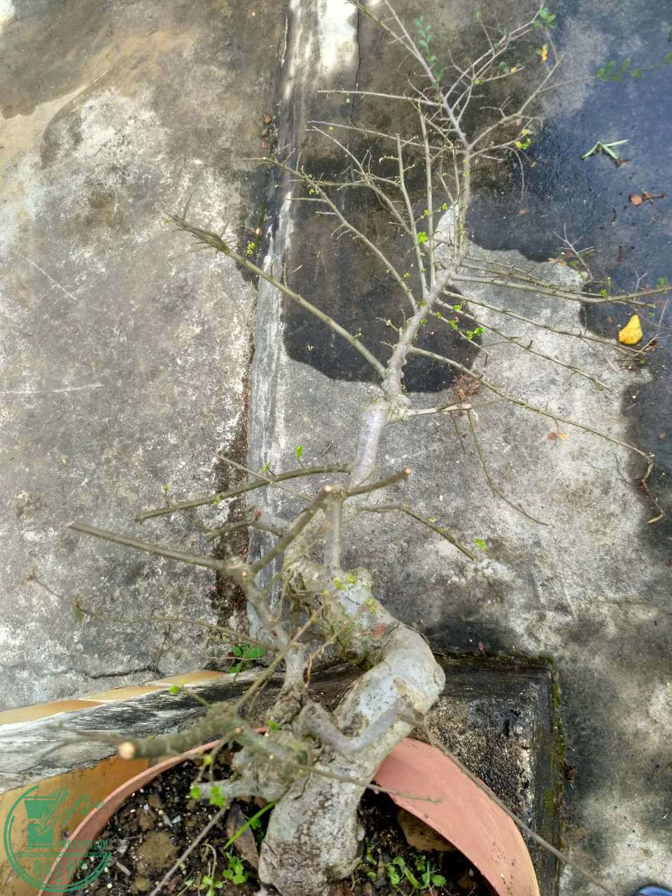 703959717044343256.jpg