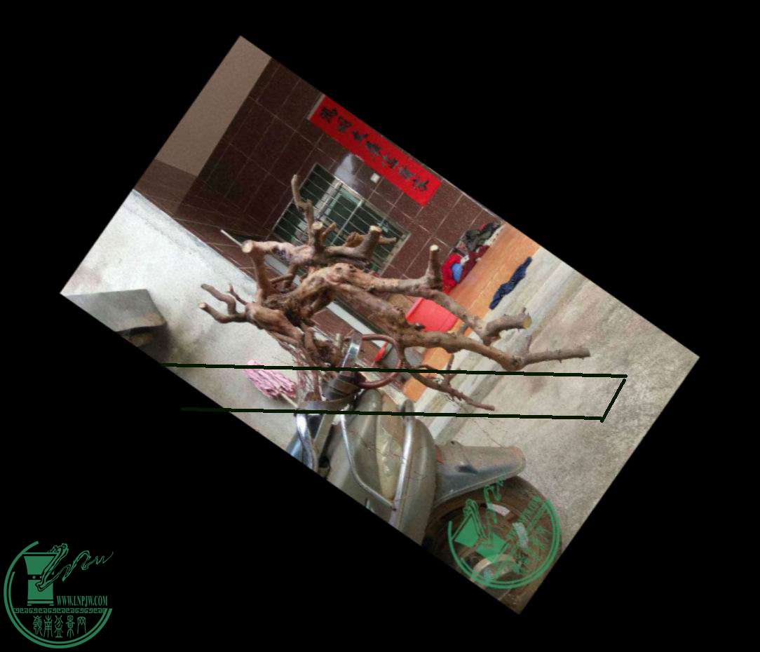 191912il88o1oa8jxihtj3.jpg.thumb.jpg