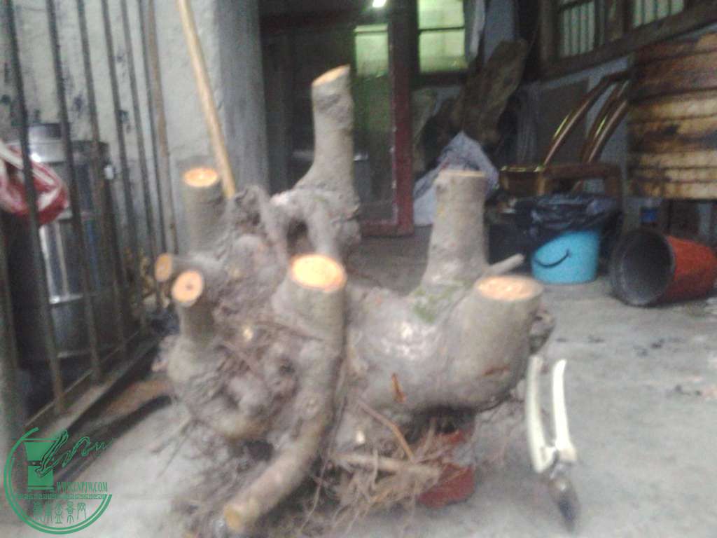 20170205_180348.jpg