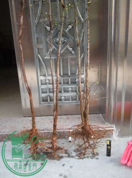 P70213-182037 - ����.jpg