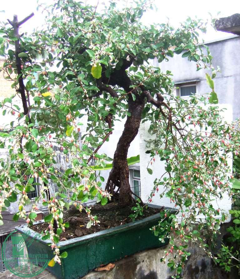 DSCF8044.JPG