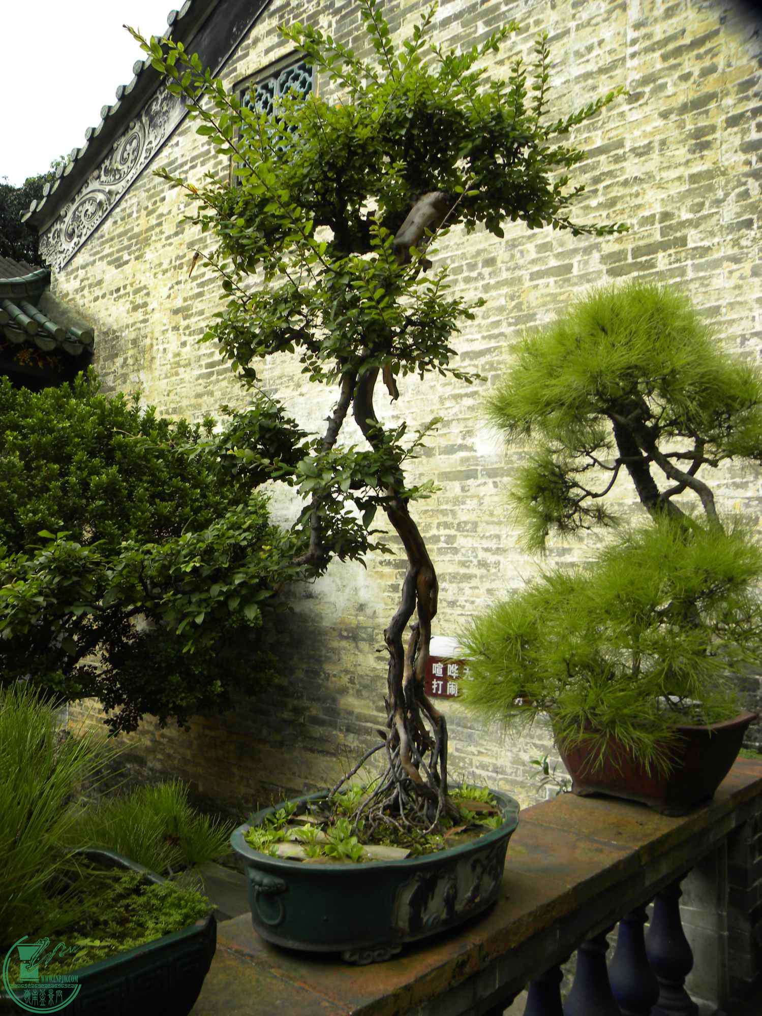 DSCN8839.JPG