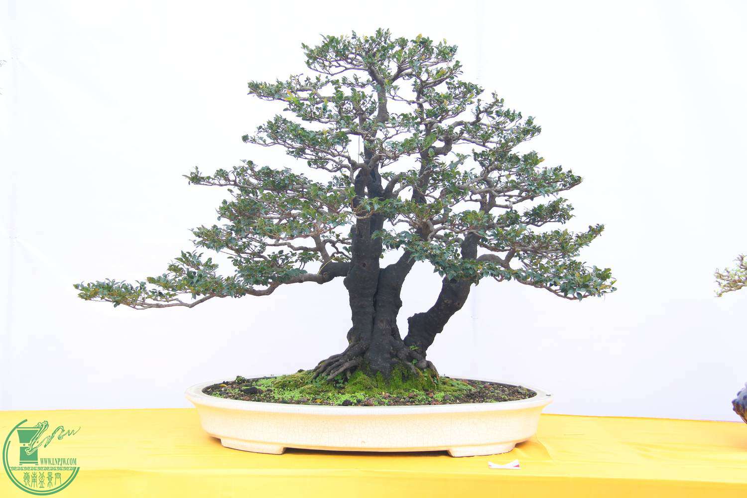 ͼ2֣ڹ㣬ޣ賤9080CMۣ.jpg