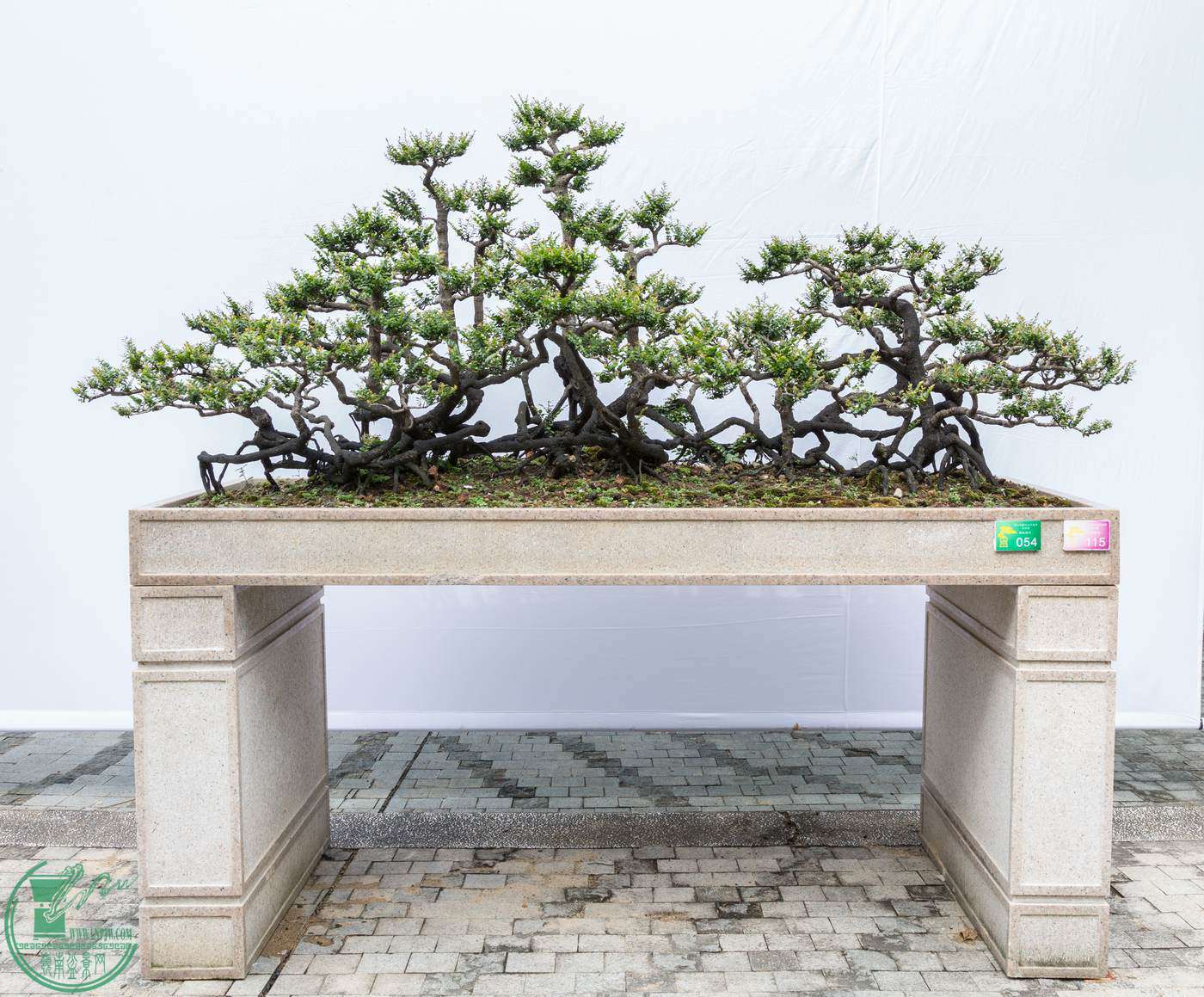 ͼ3ͭ ڹ ΰ ջ198X88CMʮɽ辰չͭ .jpg