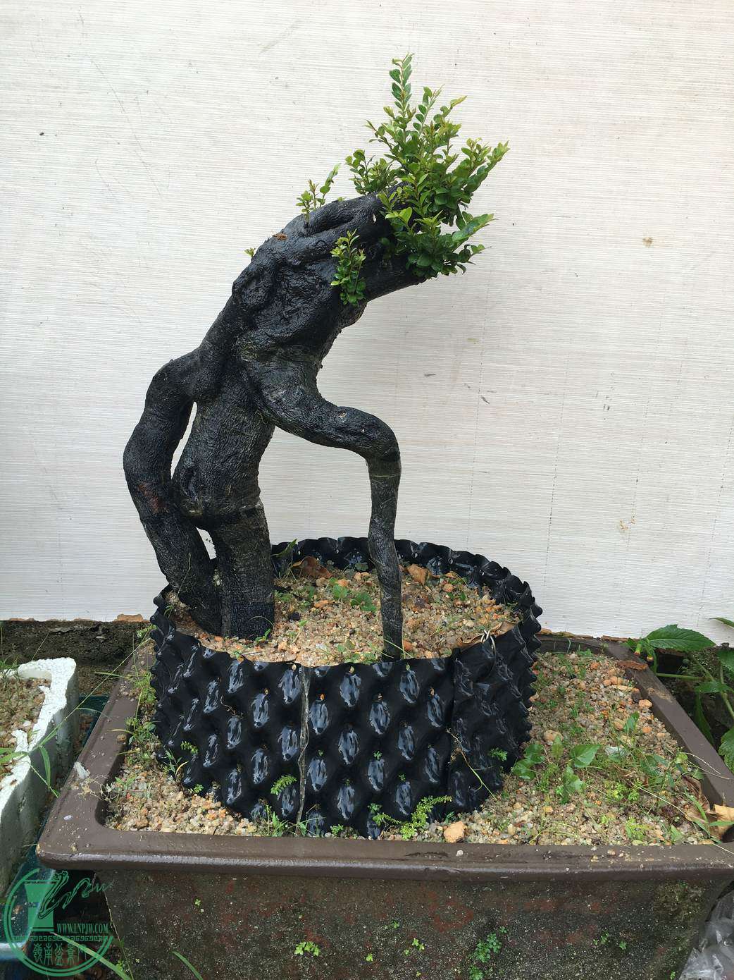 ͼ7ڹ׮ôɳֲطˮʪһҿʼѿmme.jpg