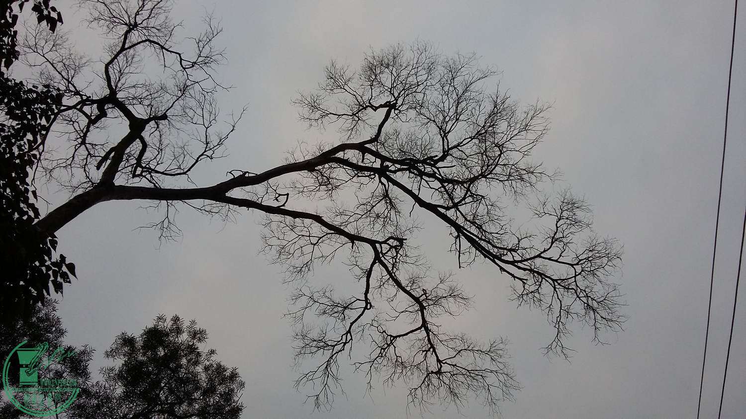 20170210_074918.jpg