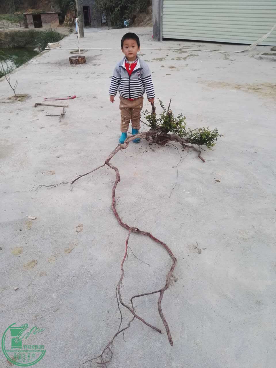 598073884675112672.jpg