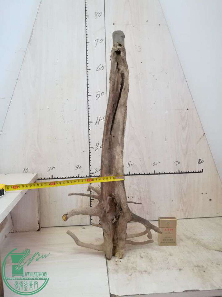 QQͼƬ20170228135542 - ���� - ����.jpg