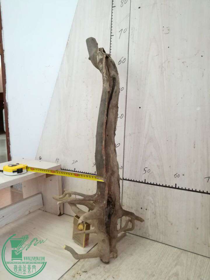 QQͼƬ20170228135552 - ����.jpg