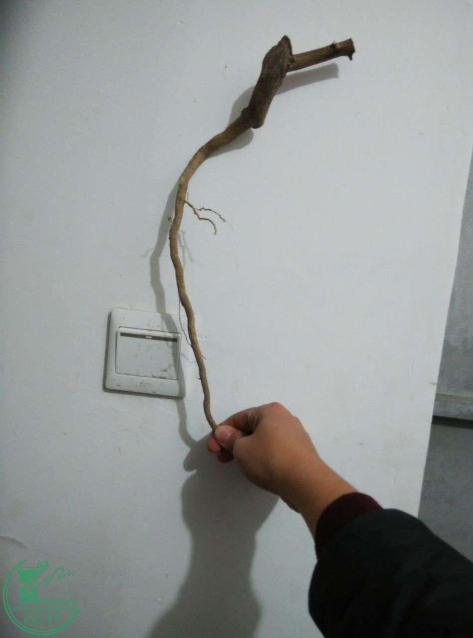 QQͼƬ20170228200912.jpg
