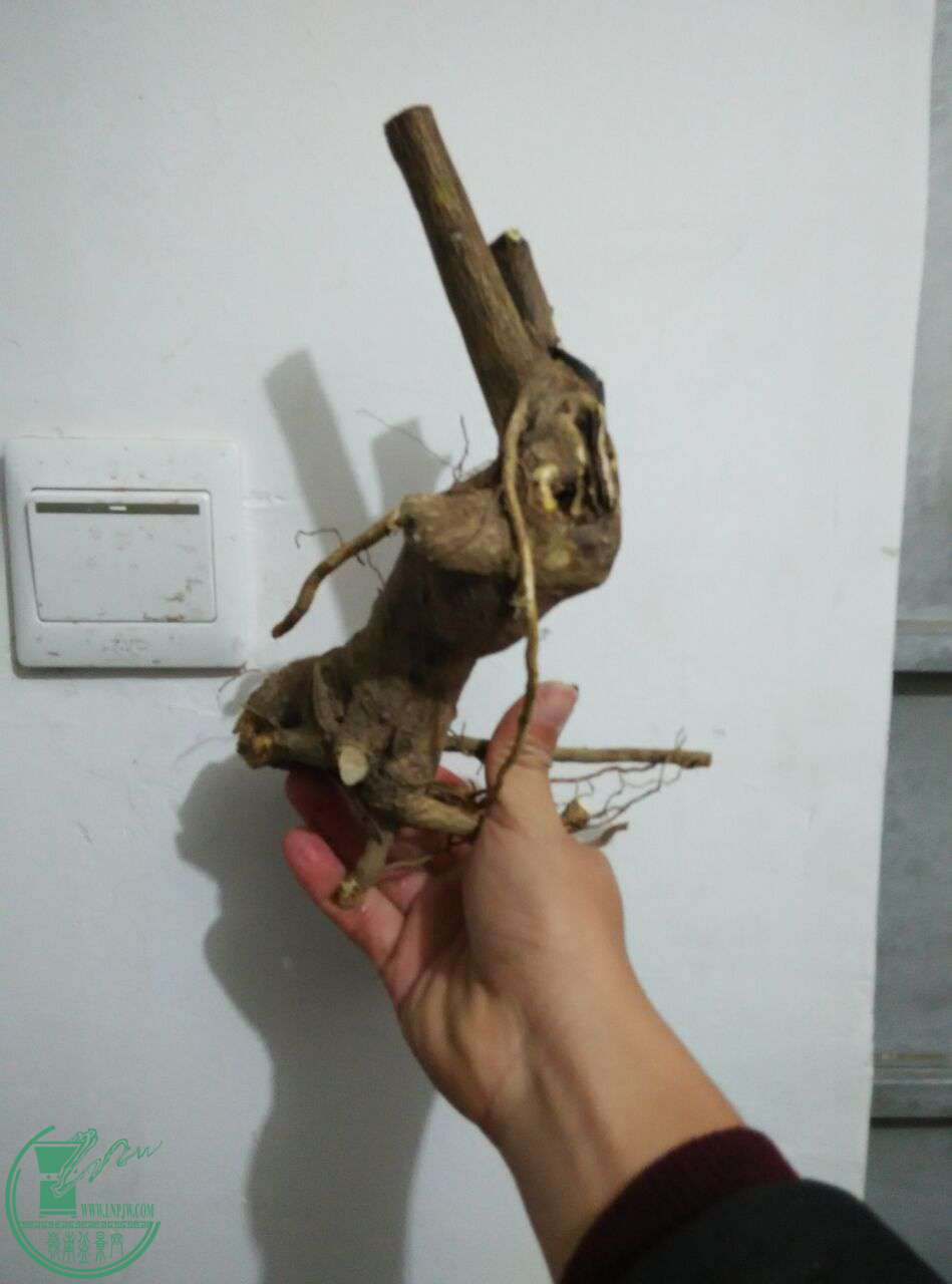 QQͼƬ20170228200935.jpg